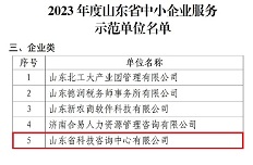 公司入選山東省中小企業服務示范單位